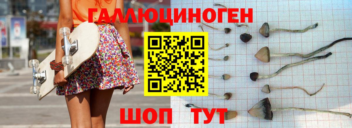 Галлюциногенные грибы Cubensis  Галлюциногенные грибы мицелий  Чебаркуль  Вход с VPN 